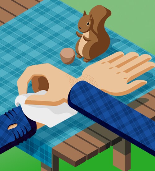 COMMENT TRAITER UNE MORSURE D'ANIMAL